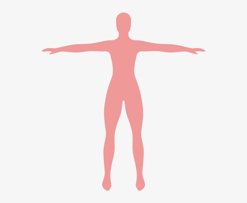 Tabaquismo En Los Adultos - Siluetas De Mujer Cancer De Mama Png, transparent png download