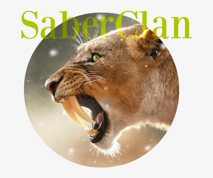 Saber Tooth Tiger By Yaoi0yuri0rules-d7zv70r - South Africa Travel Ad, transparent png download