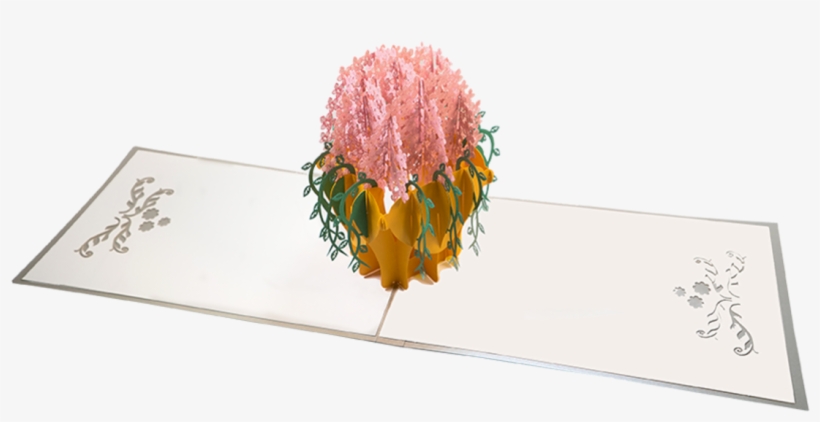 Pink Flowers In Gold Vase - Bottlebush, transparent png download