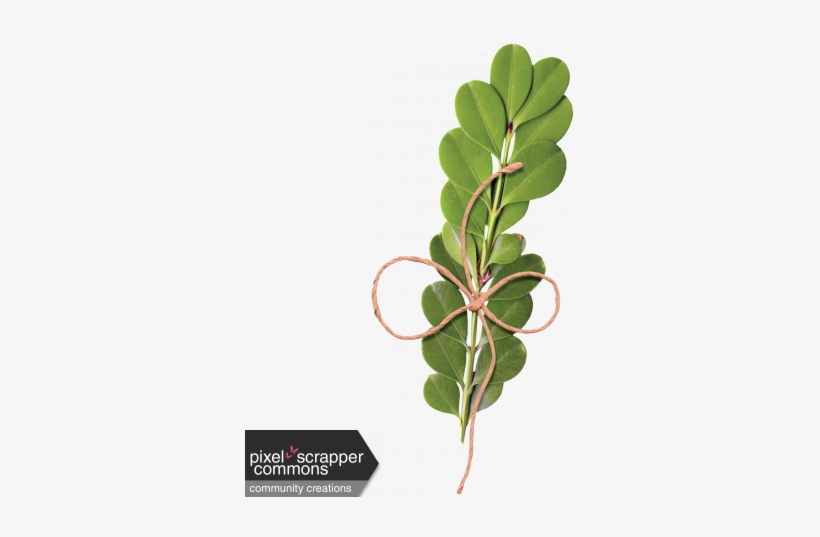 Sweet Spring - Leafy Branch - Digital Scrapbooking, transparent png download