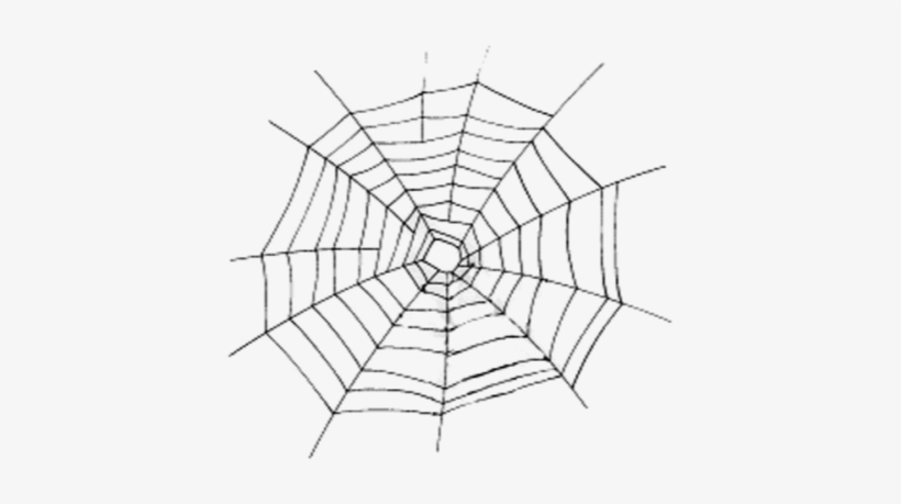 Imagen - Spider Web Vector Eps, transparent png download