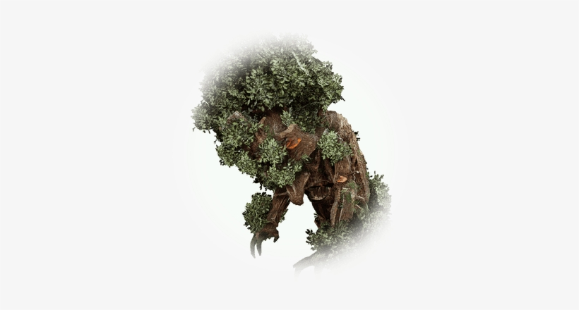 Icon - Bdo Rooted Old Wood Treant, transparent png download