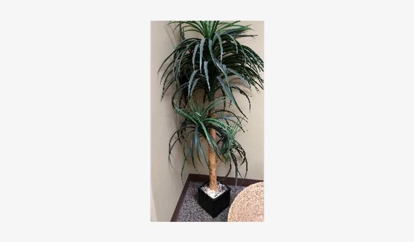 Artificial Tropical Plant In Square Blk Planter - Houseplant, transparent png download