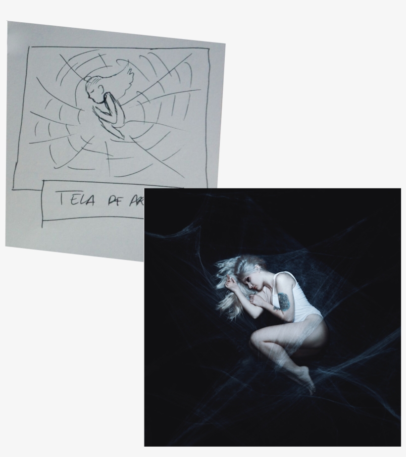Boceto-telaraña - Sketch, transparent png download