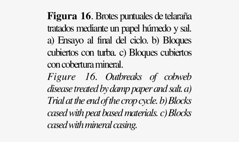 Brotes Puntuales De Telaraña Tratados Mediante Un Papel - Intermodal Transportation Universal System Model, transparent png download