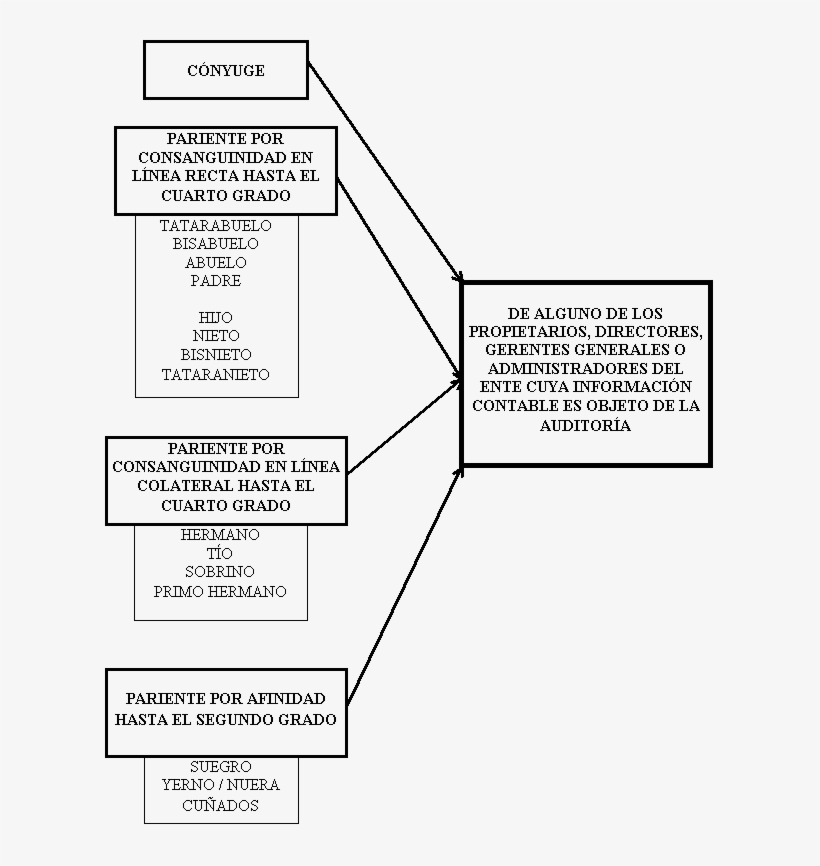 Independencia Del Auditor - Diagram, transparent png download
