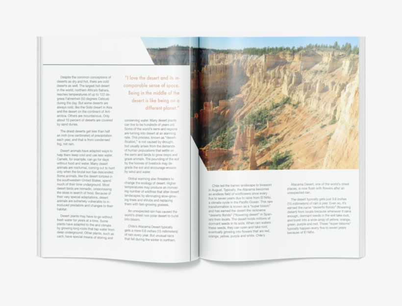 Spread4, transparent png download