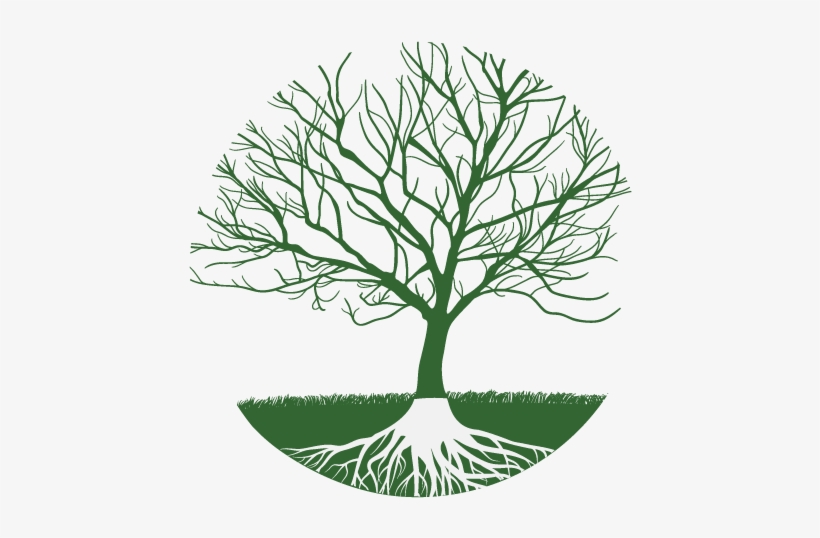 The World Tree Is A Symbol Of The Totality Of The Cosmos - Transfiguration Of Solomon Shinn [book], transparent png download