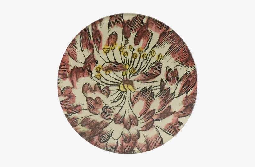 Pink Tipped Rose - Chrysanths, transparent png download