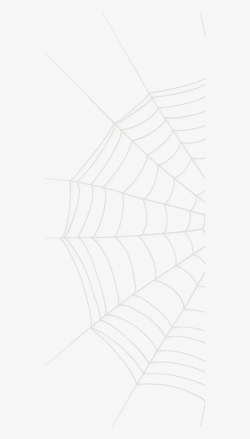 Spider Web Small Spider Web Large - Mexican Cuisine, transparent png download