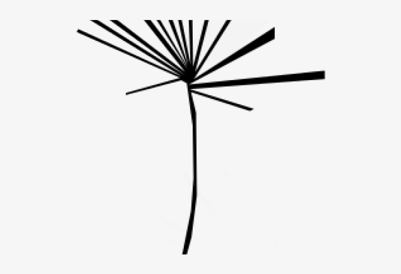Dandelion Clipart Dandelion Seed, transparent png download