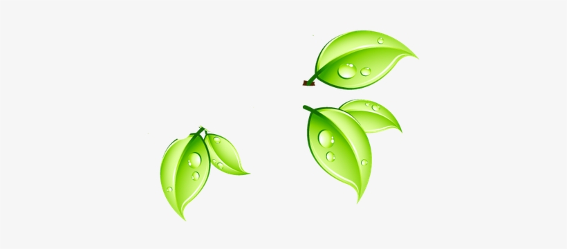 Renders Folha - Editavel, transparent png download