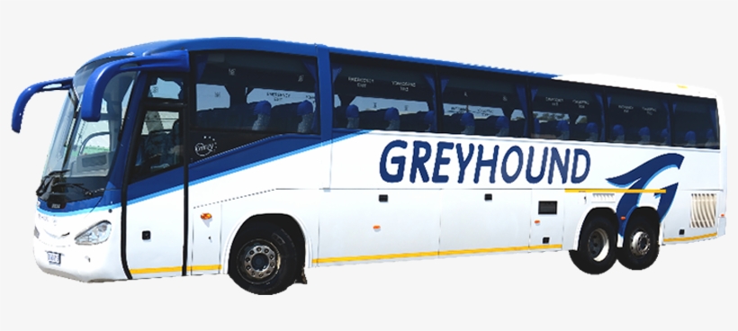 Greyhound, Citiliner And Our Most Trusted Cousin, Mega - Greyhound Citiliner, transparent png download