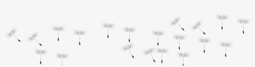 Dandelion Row - Monochrome, transparent png download