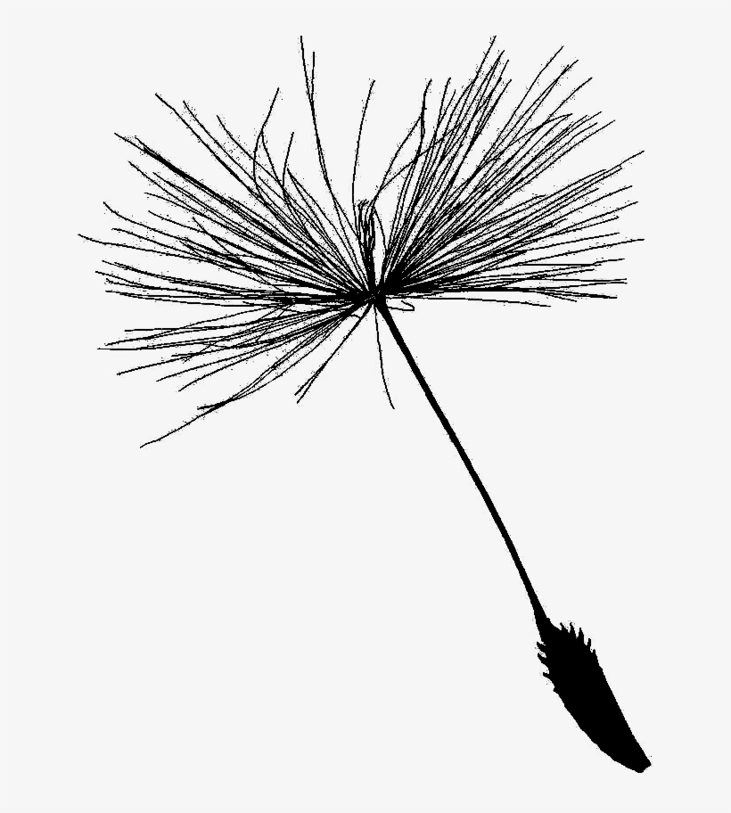 Line Art, transparent png download