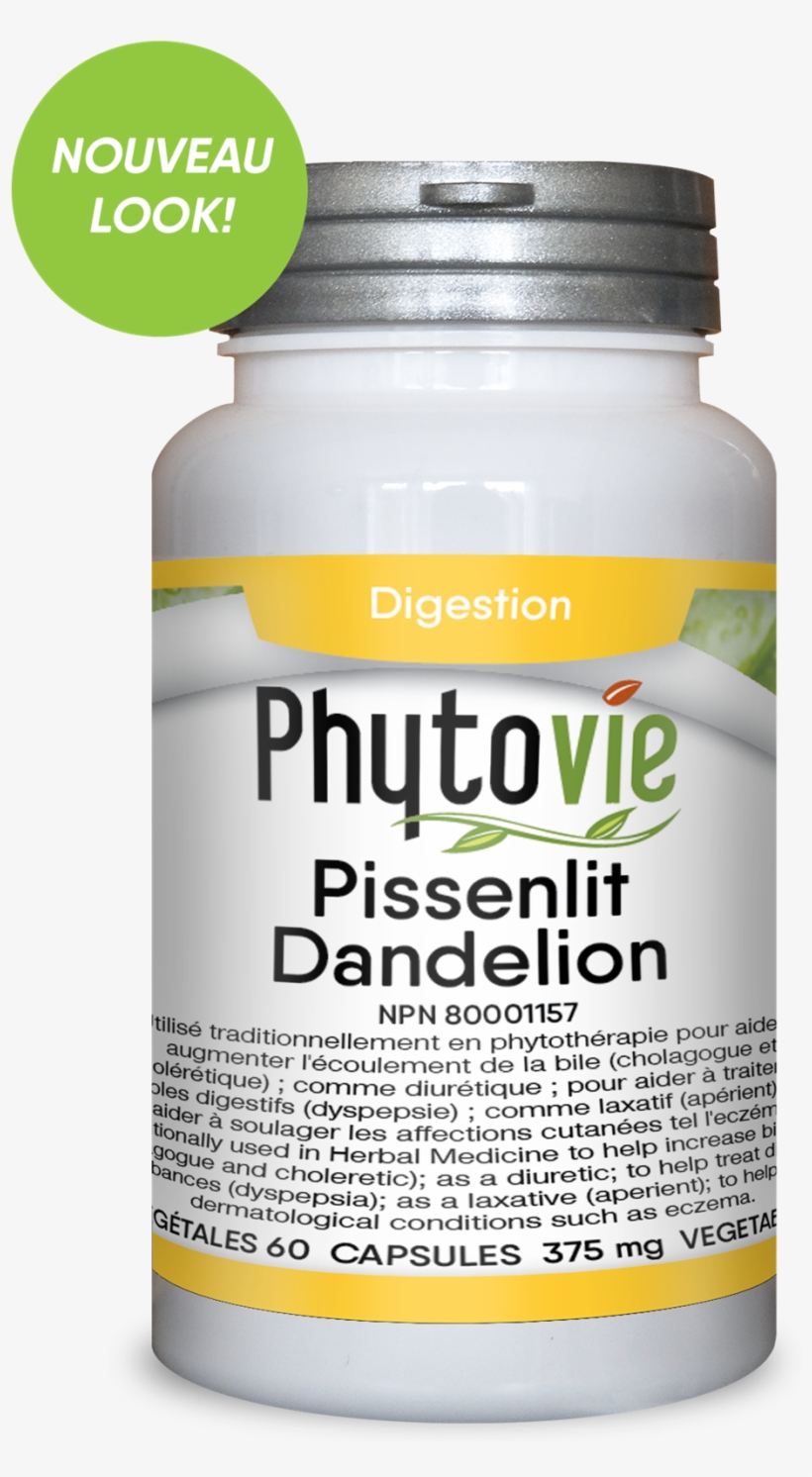 Picture Of Dandelion Root - Feuille De Menthe Douce, transparent png download