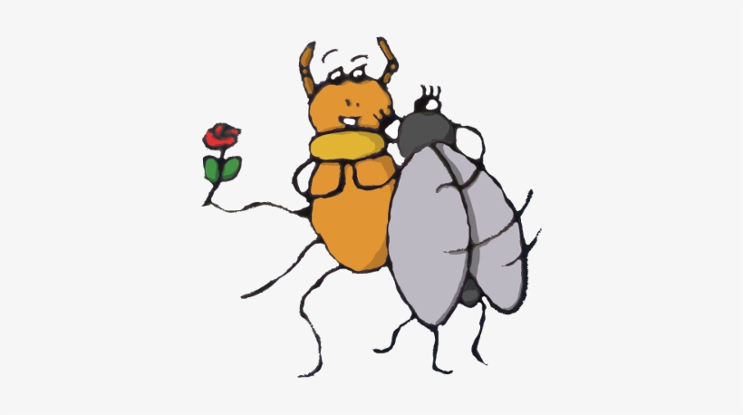 Animals/ Insects/ Cartoon/ Spider Fly - Tux Paint, transparent png download