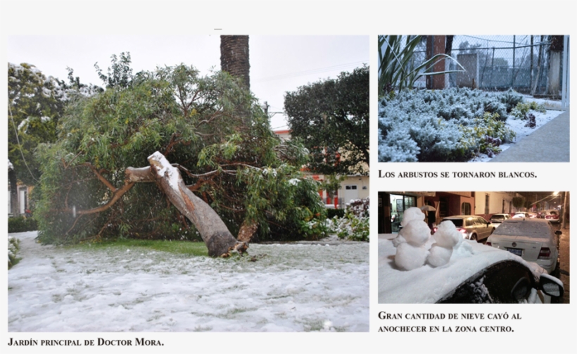 Giovane Navarro/ Danielortiz/ Jeshaelrivera Villalóny - Leisure, transparent png download