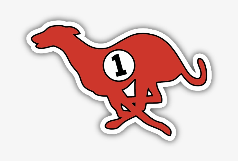 Running Greyhound Bumper Sticker - Bumper Sticker, transparent png download