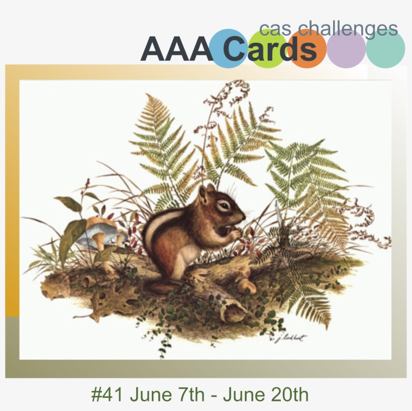 Link Up, Mention Us In Your Post With Our Address And - Possum, transparent png download