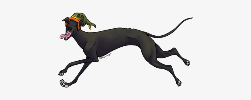 Greyhound, transparent png download