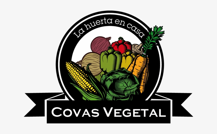 Verdura Gallega Verdura Gallega - Vegetable, transparent png download