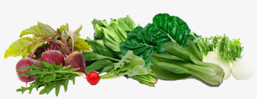 No Durante El Primer Año De Vida, Pero ¿y Después - Arugula Herb 2017 - 150 (all Non-gmo Heirloom Vegetable, transparent png download