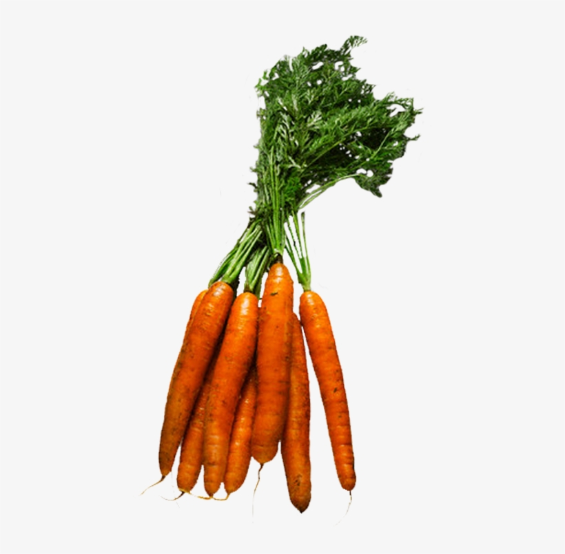 Hiperligações - Figuras De Verduras E Legumes, transparent png download