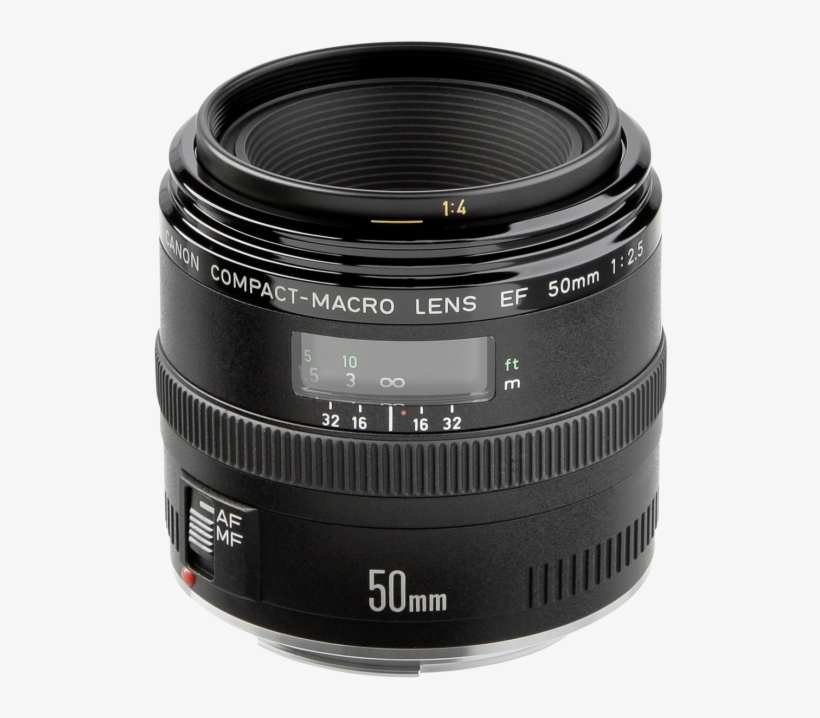 Guía De Compra - Canon Ef Macro Lens - 50 Mm - F/2.5 - Canon Ef, transparent png download