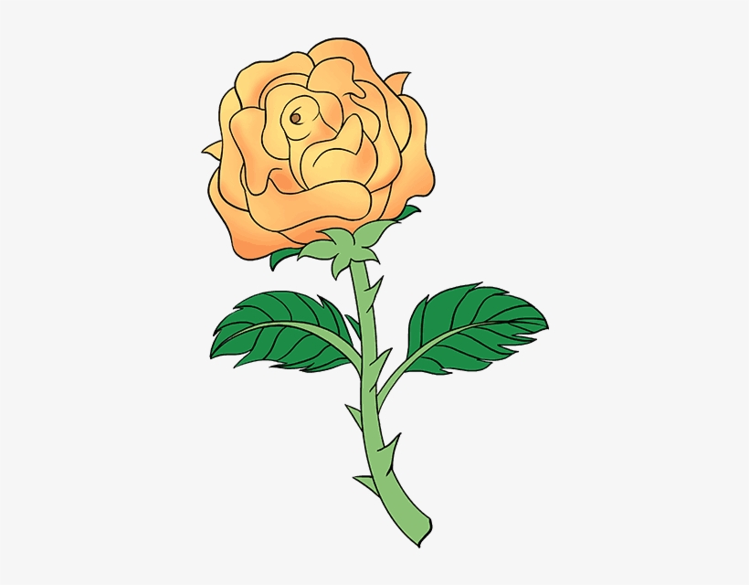 How To Draw Rose With A Stem Step - Drawing, transparent png download