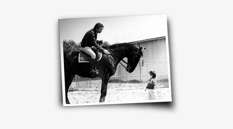 Nelson And Rodrigo Pessoa - Rodrigo Pessoa And Nelson Pessoa, transparent png download