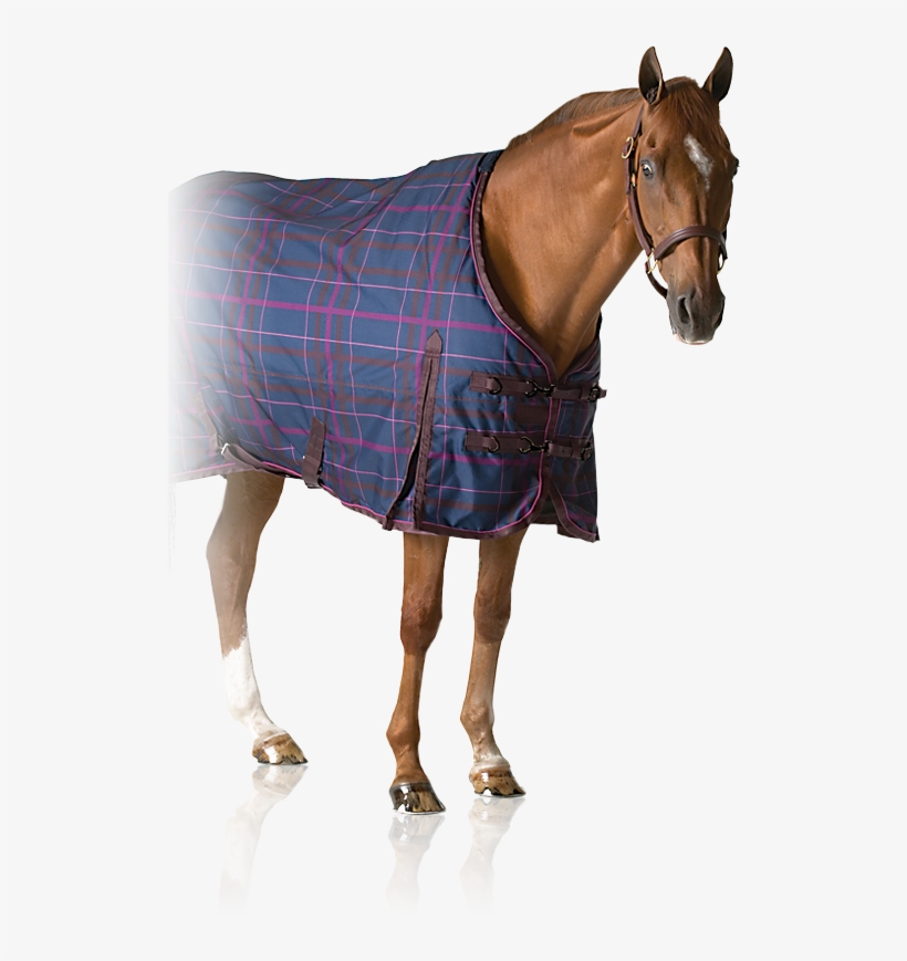 Pessoa - English Riding Supply Pessoa Alpine 1200d Turnout Sheet, transparent png download