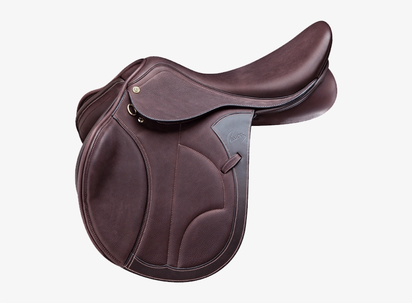 Home - Pessoa Vivaldi, transparent png download