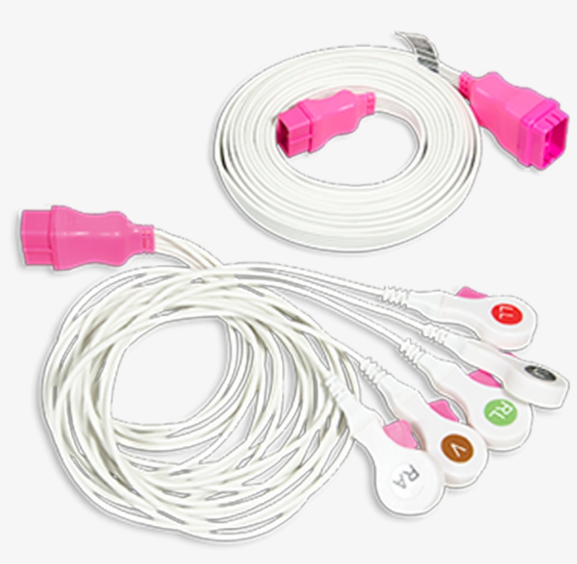 Includes Models Originally Manufactured By - Circle, transparent png download