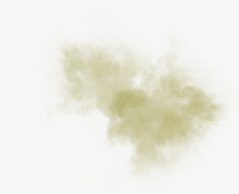 Still Life, transparent png download