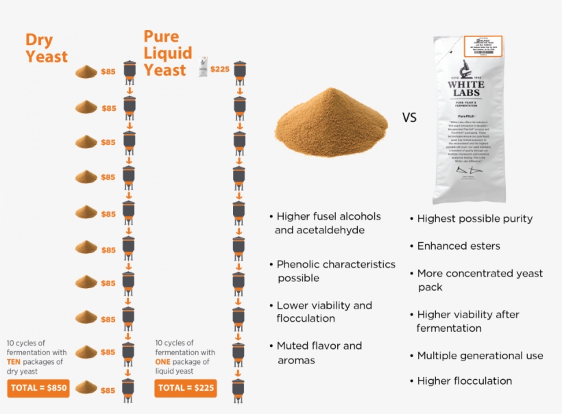 High-quality Liquid Yeast Creates A Cleaner More Complex - Parallel, transparent png download