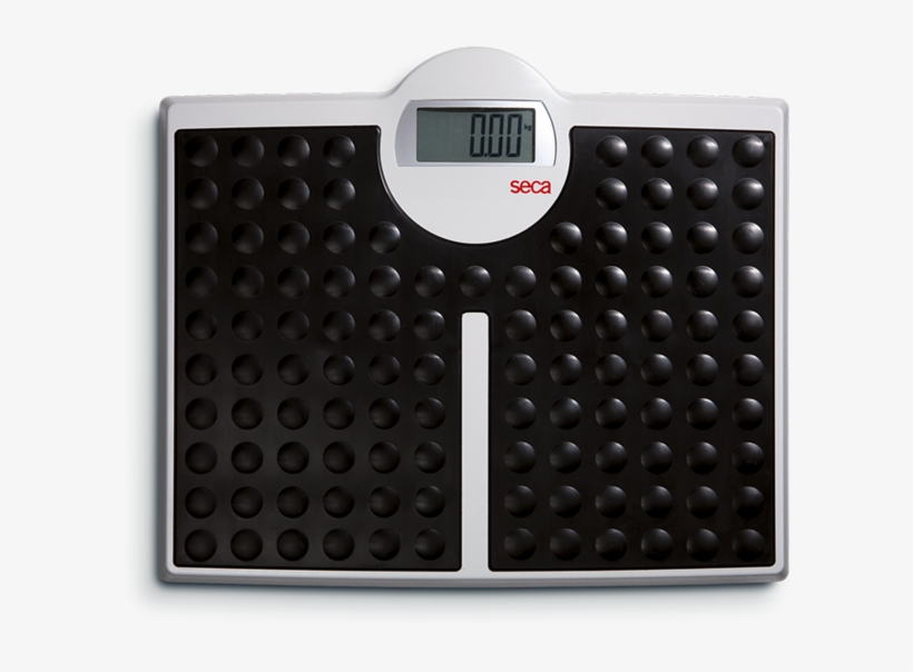 Balanza Piso Digital Mod Seca - Seca 813, transparent png download
