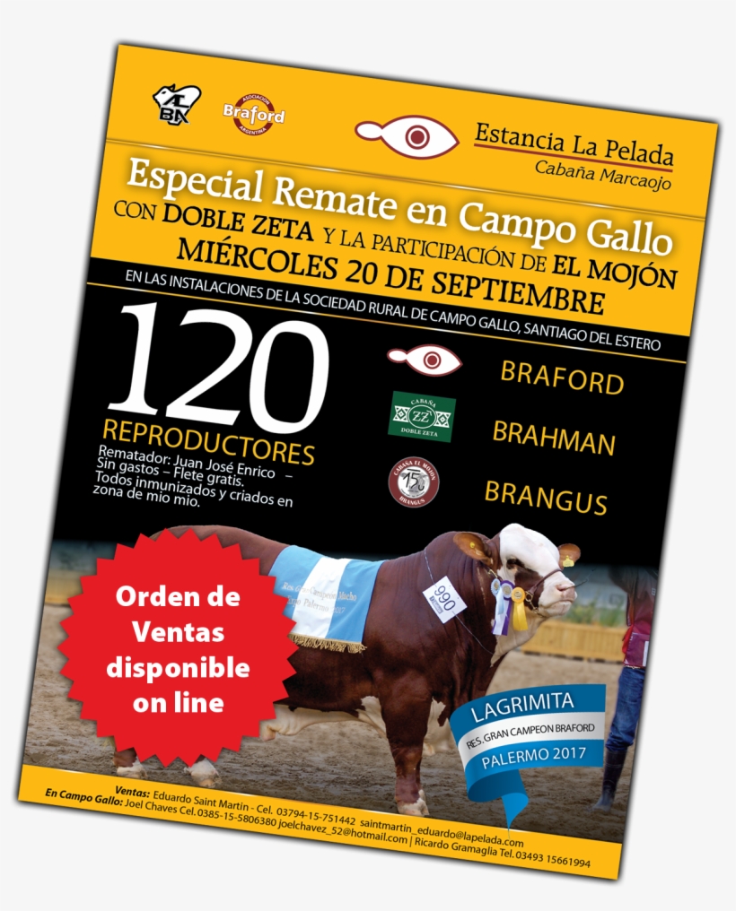 Ordenventas Lg - Working Animal, transparent png download