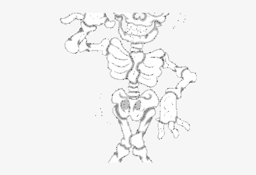 Funny Skeleton Cliparts - Chiropractic Memes, transparent png download