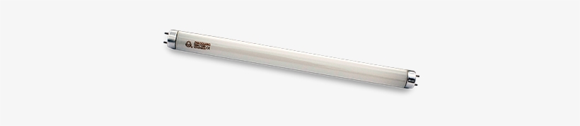 Bombilla, transparent png download