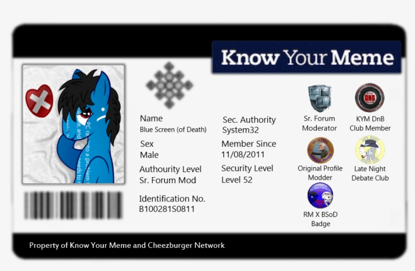 Kym Identification Card - Know Your Meme, transparent png download