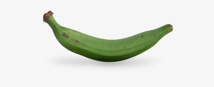 Plátano Tropical - Platano Tropical, transparent png download
