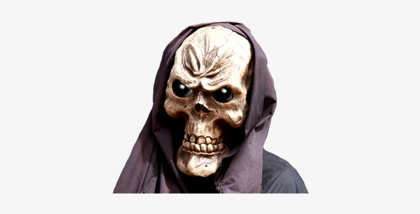 Cool Skull - Longboard Completo Owl Sports Moontime (caveira Prancha), transparent png download