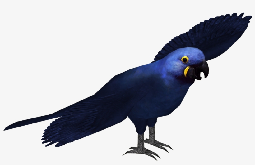 Hyacinth Macaw - Hyacinth Macaw Png, transparent png download