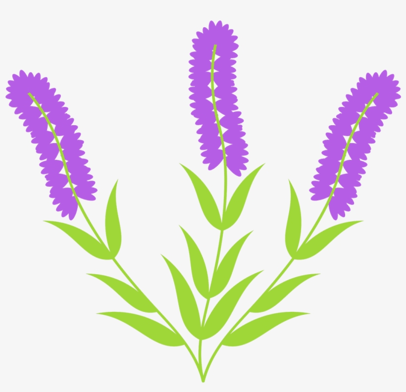Hyacinth - 0shares - Flower, transparent png download