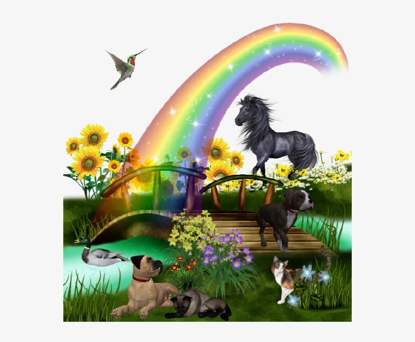 Funny Cartoon Horse - Horse Bookmarks To Print, transparent png download