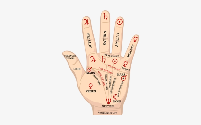 Palm Reading - Beauty Salon, transparent png download