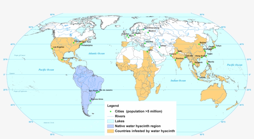 Where Is Water Hyacinth Found - Water Hyacinth Invasive Map, transparent png download