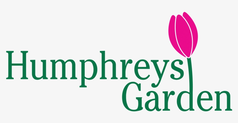 No Need To Talk Quotes, transparent png download