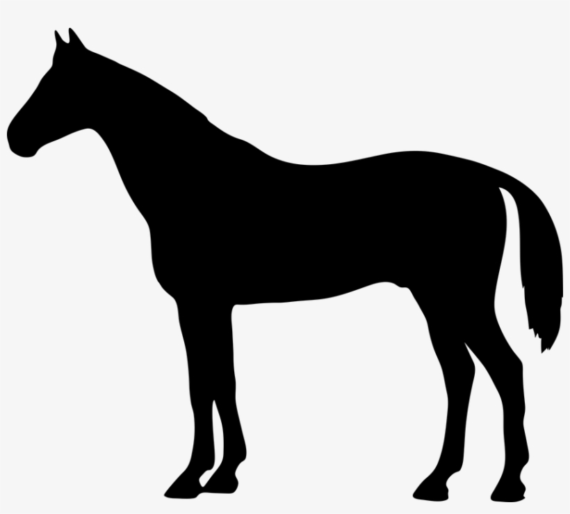 The Horse, Konik, Animal, Is, The Stroke, Shape, Shadow - Mastiff Silhouette, transparent png download
